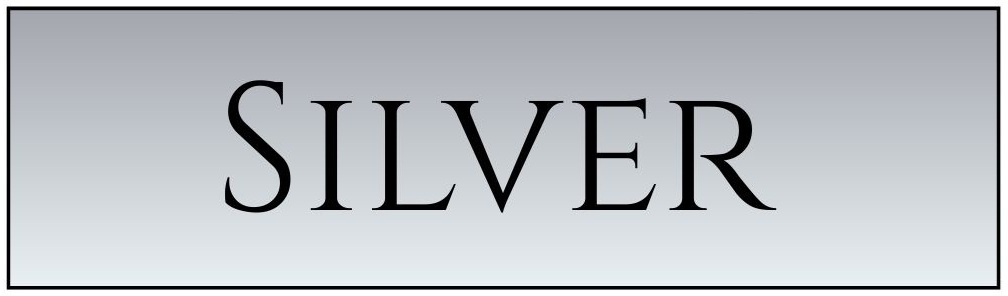 Silver Sponsor